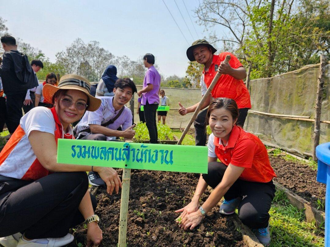 2. กิจกรรมปลูกผักสวนครัวตามแนวเกษตรอินทรีย์ ผึ้งน้อยปลูกรัก ปลูกผักกินเอง